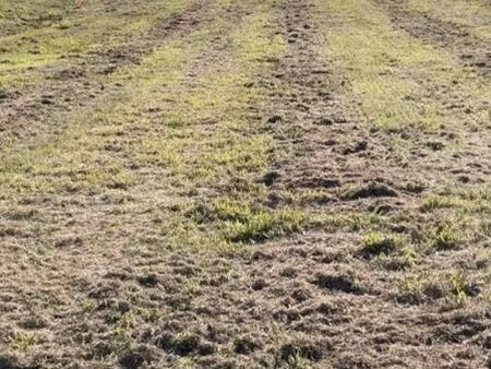 terrain à bâtir