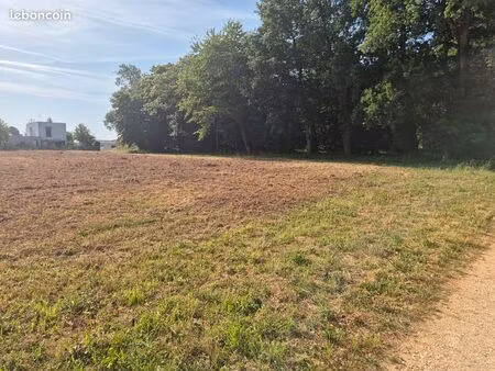terrain constructible