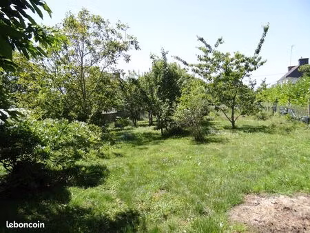 terrain constructible