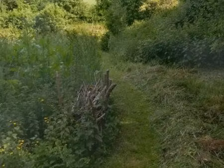 terrain agricole