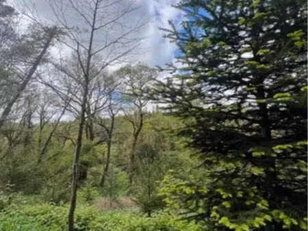 recherche terrain non constructible