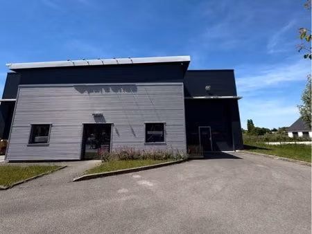 local d’activité 350 m2