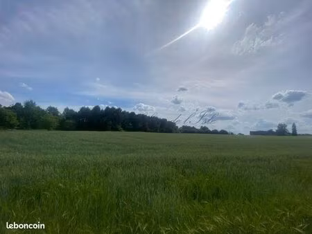 terrain 1619 m² montrem