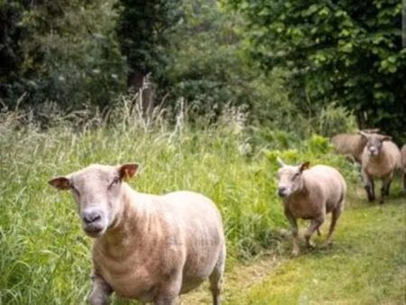recherche  terre agricole  terrain