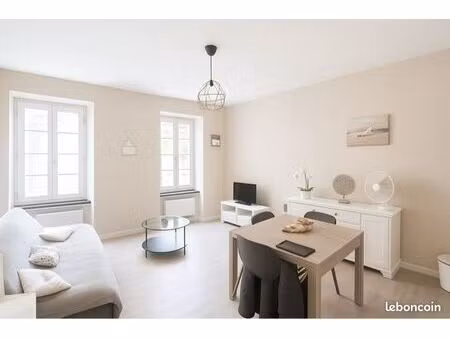 appartement chaleureux en plein cœur de ville