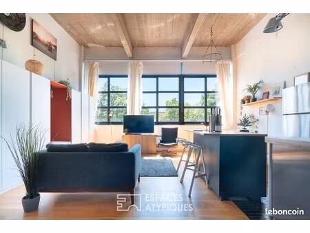 loft 2 pièces 55 m²