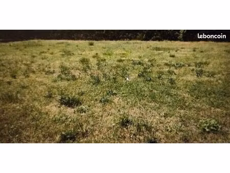 terrain 558 m² igoville