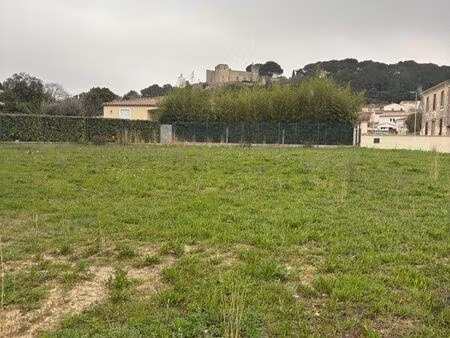 terrain constructible