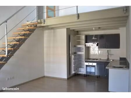 p1+ en duplex - centre village