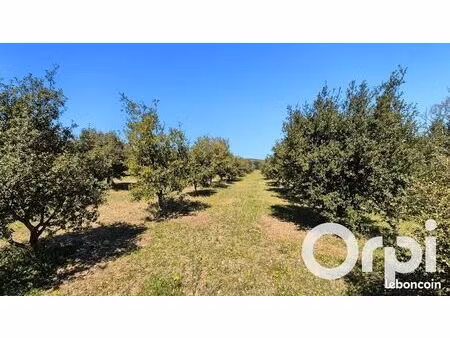 terrain agricole 7 775 m² laval saint roman