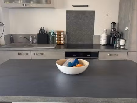 bel appartement lumineux