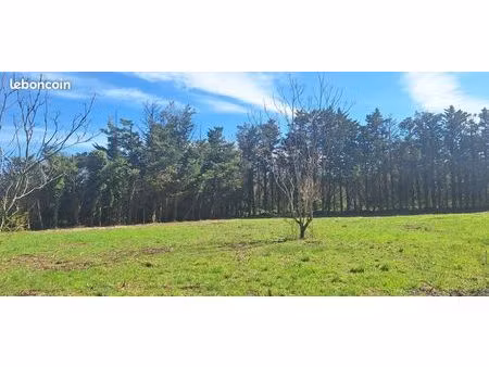 terrain constructible viabilisé