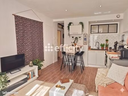 appartement 3 pièces 43 m²