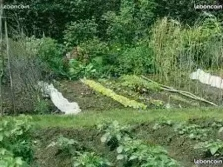 location jardin potager