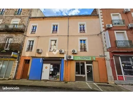 immeuble 572 m² bessèges