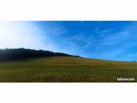 terrain agricole