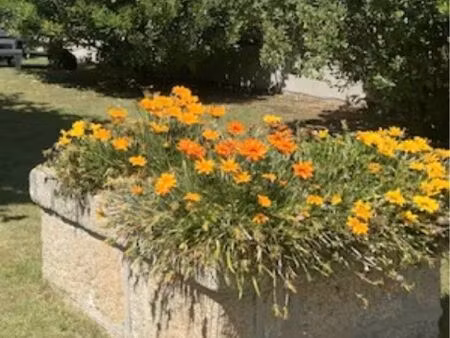 recherche maison avec jardin