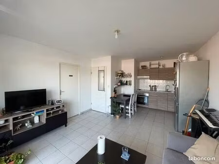 appartement t2 muret  libre d'occupation