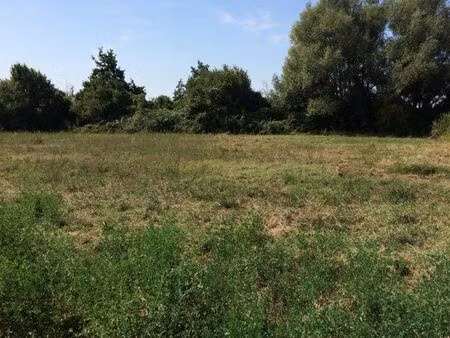 terrain plat 1600 m² – garidech – calme et nature – accès facile