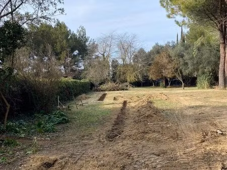 terrain