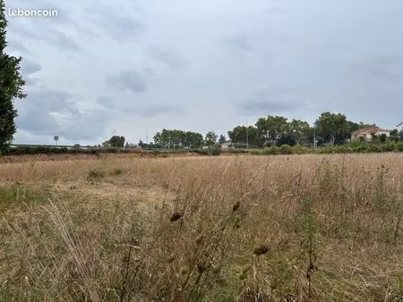terrain agricole