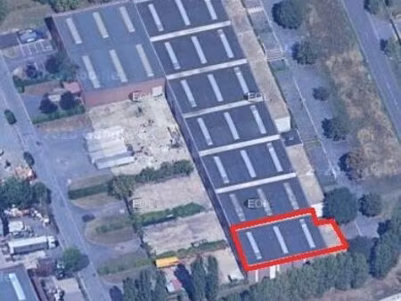 local d'activité 770 m²