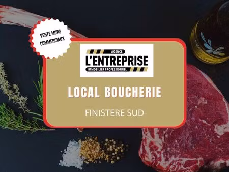 murs commerciaux 250 m² quimper