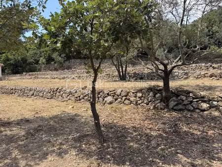 vente terrain 1017 m² à belgentier (83210)  240 000 €