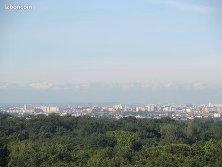 villa t9 vue sur toulouse