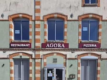vente locaux professionnels 0 pièces à chaumont (52000)  55 000 €