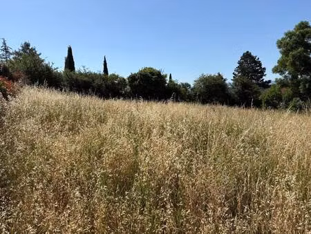 terrain constructible viabilisé à vendre
