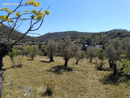 terrain constructible 5 556 m² – permis accordé – vue dégagée