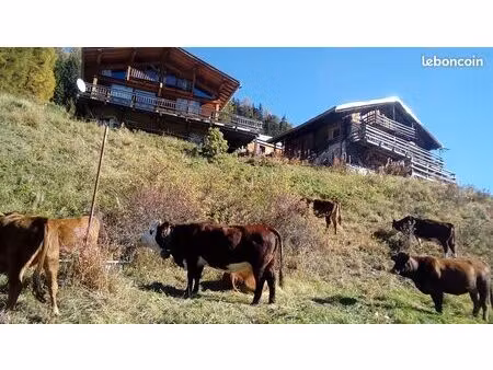 grand chalet la plagne soleil et vue