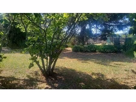 terrain constructible à vendre