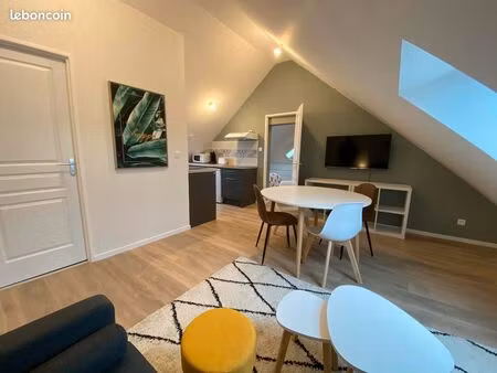 grand appartement t2 40 m2 environ