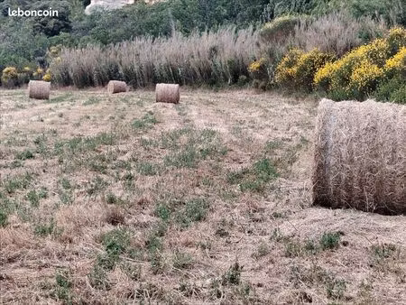 terre agricole
