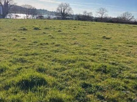 terrain constructible viabilisé à vendre