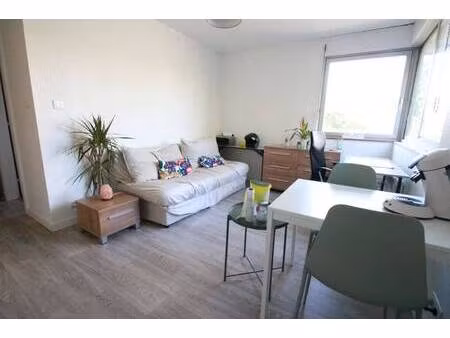 pluriel immobilier