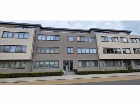 appartement à louer à torenstraat 58 wommelgem (rbw08980)
