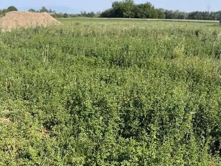 terrain constructible viabilisé à vendre