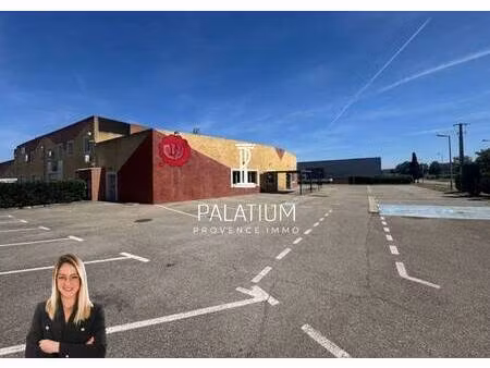 palatium immobilier