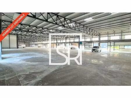 sr immobilier