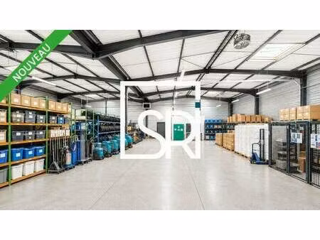 sr immobilier