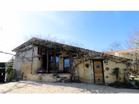 très jolie maison rénovée avec qualité  jardin verdoyant de
