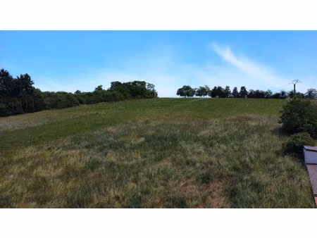 sergines (89) - terrain a batir de 1450 m²