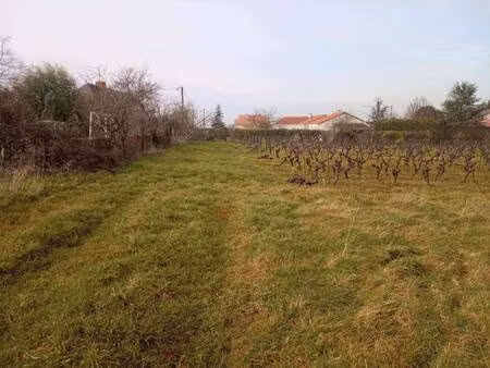 terrain constructible viabilisé à vendre
