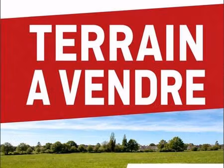vincent guinaudeau consultant megagence