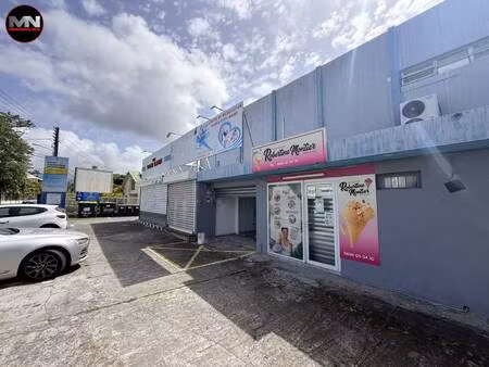 mn immobilier
