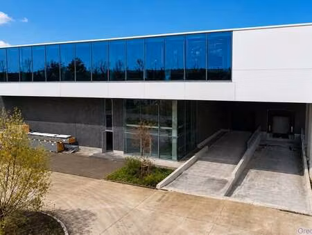 bien professionnel à louer à erembodegem € 7.546 (losah) - oreon properties herentals | zi