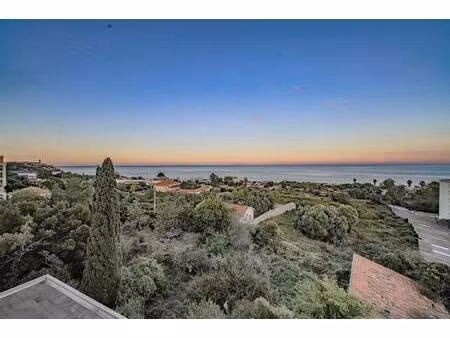 laforet corse